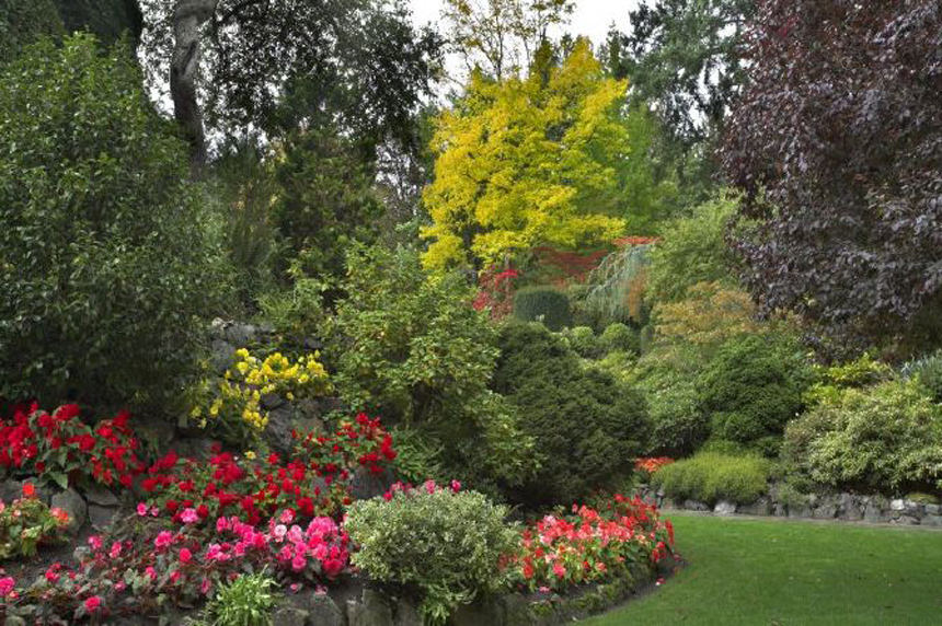 beautiful corners of the garden