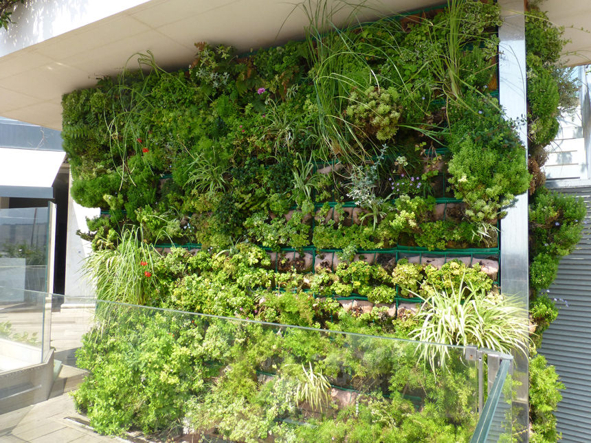 composition of plants in vertical gardens