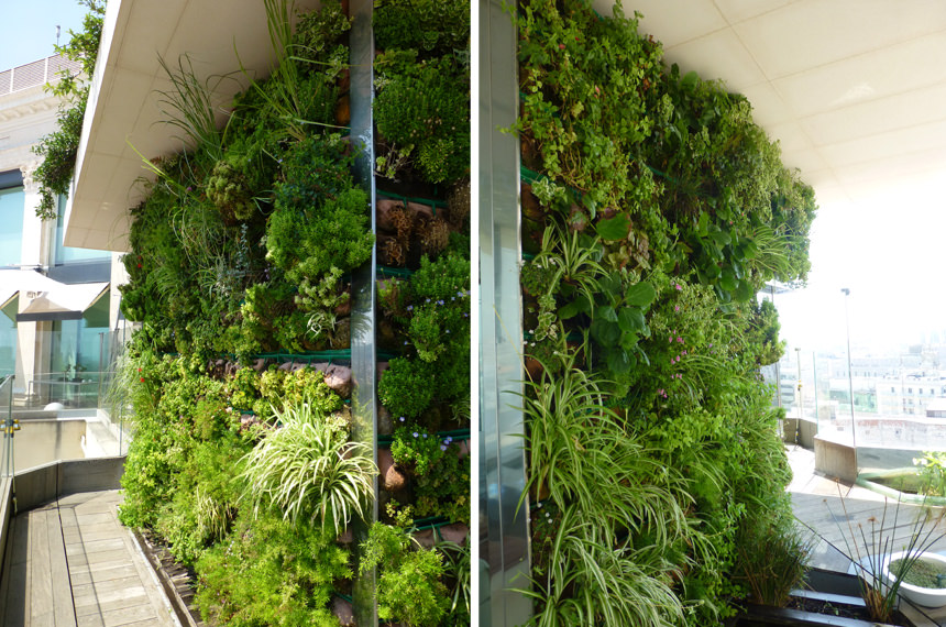 el mantenimiento de jardines verticales