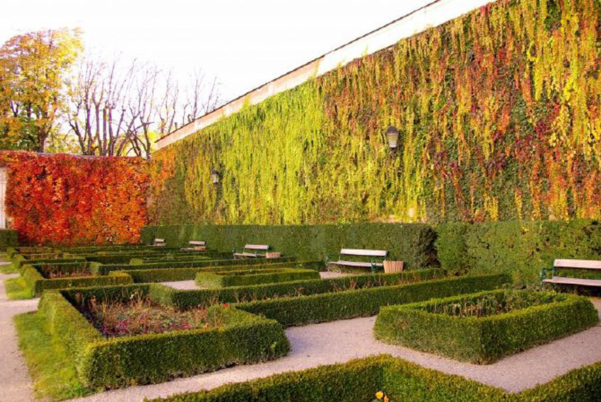 paisajismo del jardin vertical