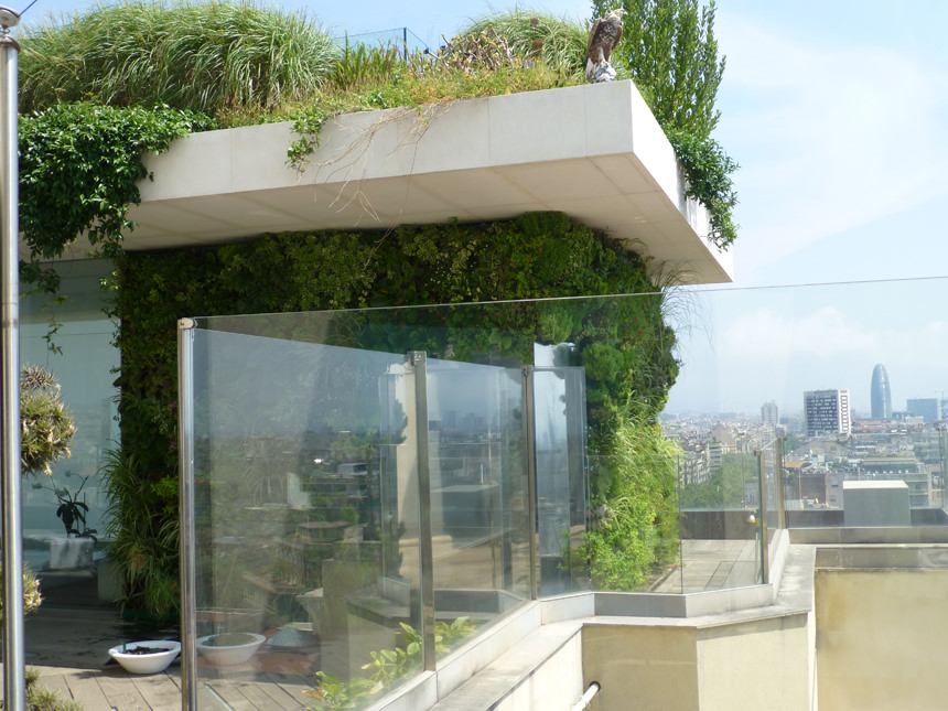 the suitable plants in vertical gardens