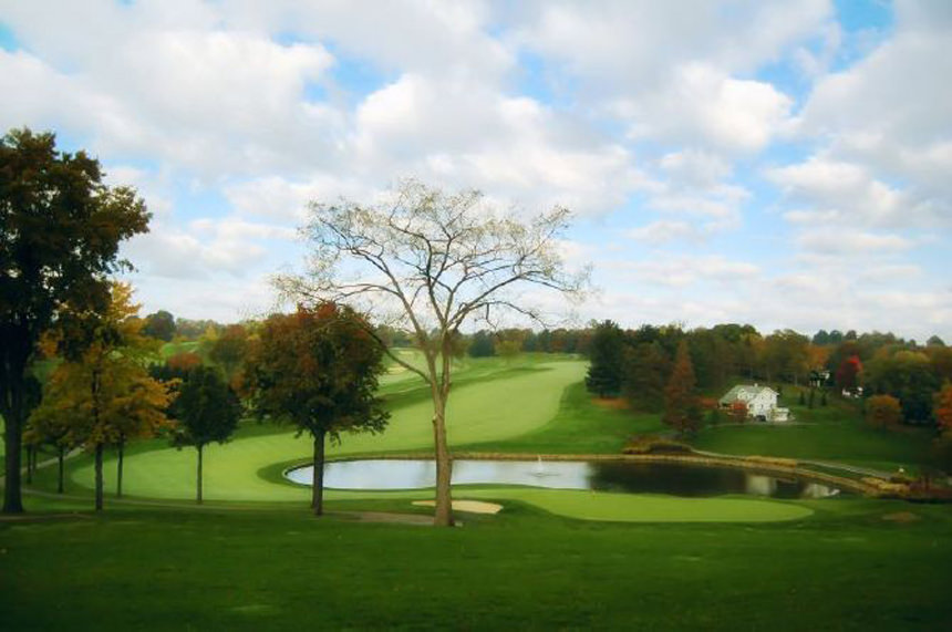 seleccionar los arboles en golf