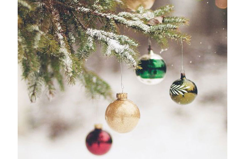 How to decorate your garden in Christmas como decorar jardín en navidad