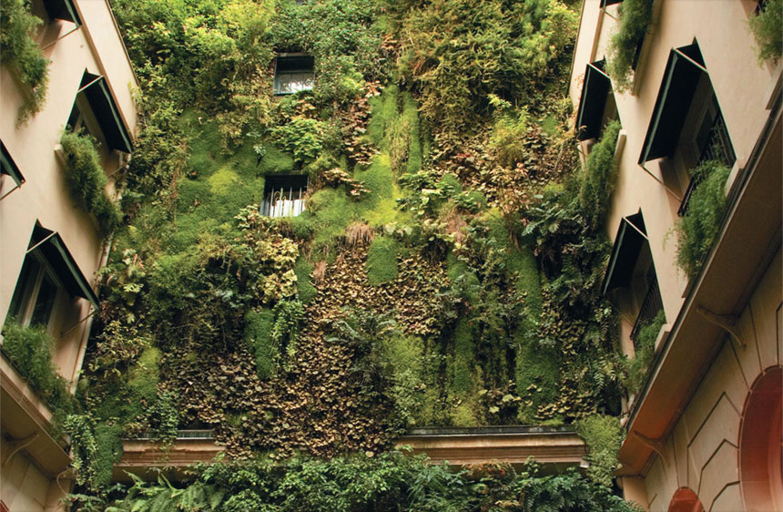 The keys to a vertical garden claves para el diseño de jardines verticales