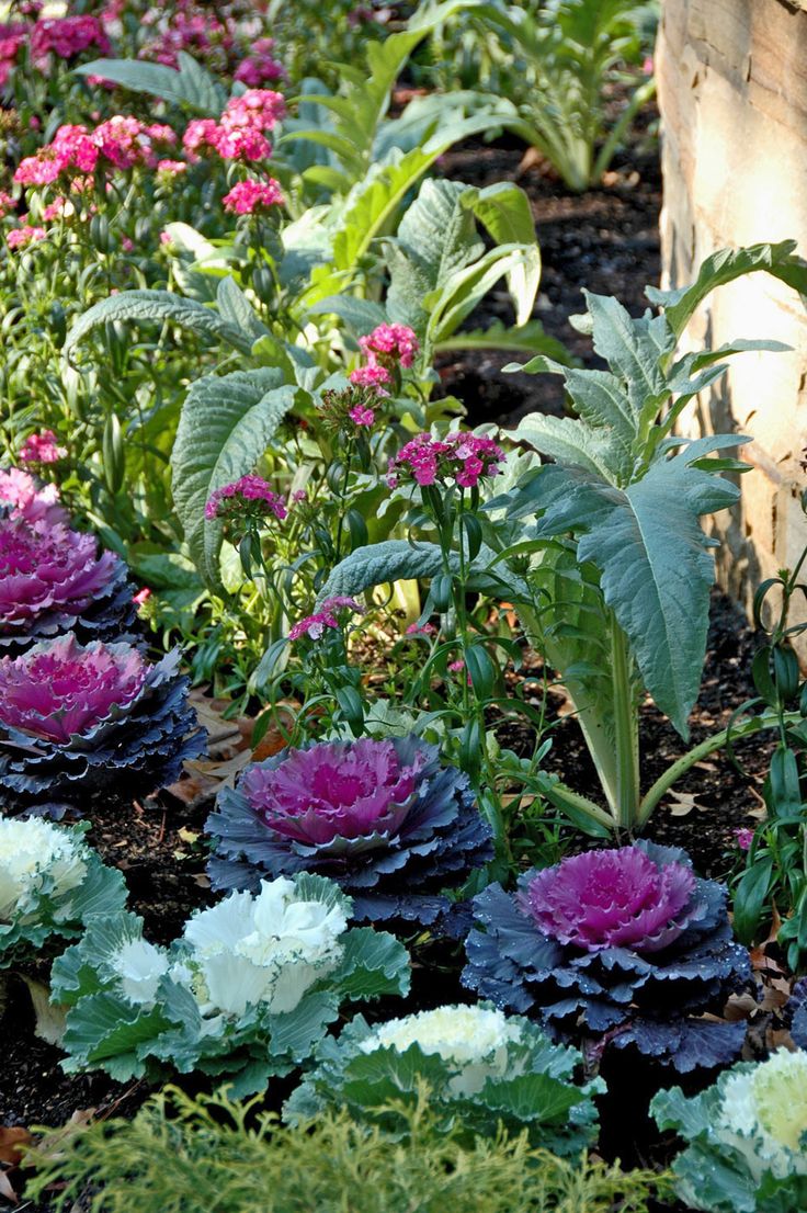 diseñodejardines