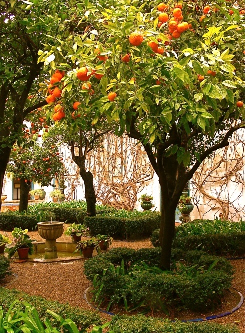 diseño-jardin-barcelona