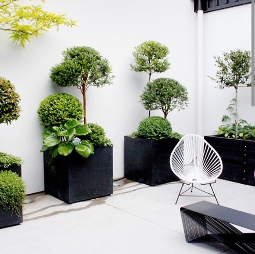 diseno-jardines-barcelona