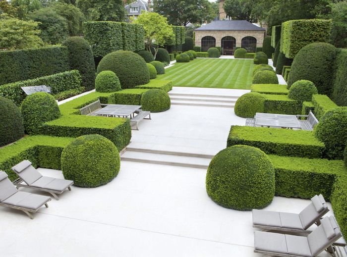140f6b99d90b5c97513fad4a2306c9ca--boxwood-hedge-boxwood-garden